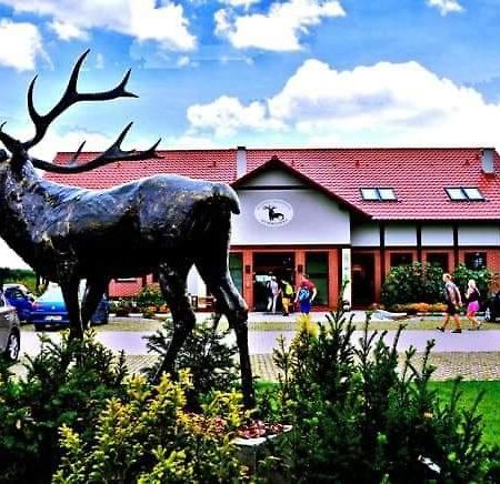 Pensjonat I Restauracja Hubertowka Milicz Ngoại thất bức ảnh